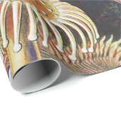 Papier Cadeau Anémone de mer Nature scientifique Océan (Coin rond)