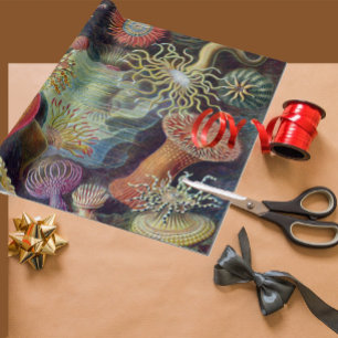 Papier Cadeau Anémone de mer Nature scientifique Océan