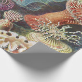 Papier Cadeau Anémones de mer, Actiniae Seeanemonen Ernst Haecke (Coin)