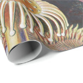 Papier Cadeau Anémones de mer, Actiniae Seeanemonen Ernst Haecke (Coin rond)