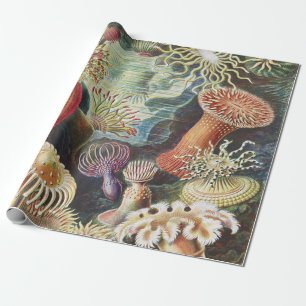 Papier Cadeau Anémones de mer de Haeckel Collage d'art de vie na