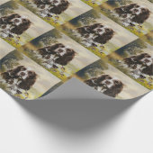 Papier Cadeau Anglais Springer Spaniel (Coin)