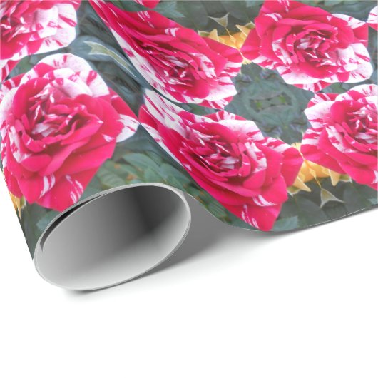 Papier Cadeau Anicia (Coin rond)