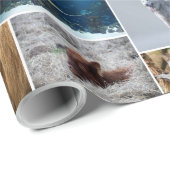 Papier Cadeau Animal (Coin rond)