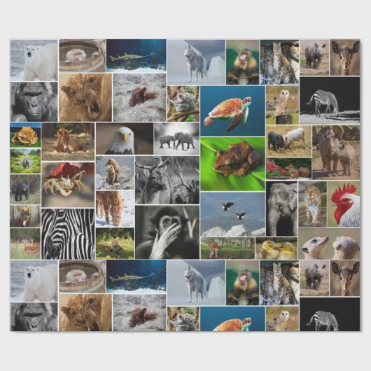 Papier Cadeau Animal (Plat)