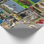 Papier Cadeau Animal (Coin)