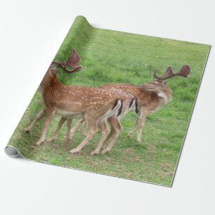 Papier Cadeau animal, cerf, faune, forêt, prairie, chasse, n
