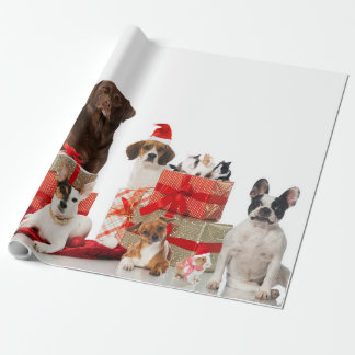 Papier Cadeau Animaux de compagnie dans le chapeau du Père Noël