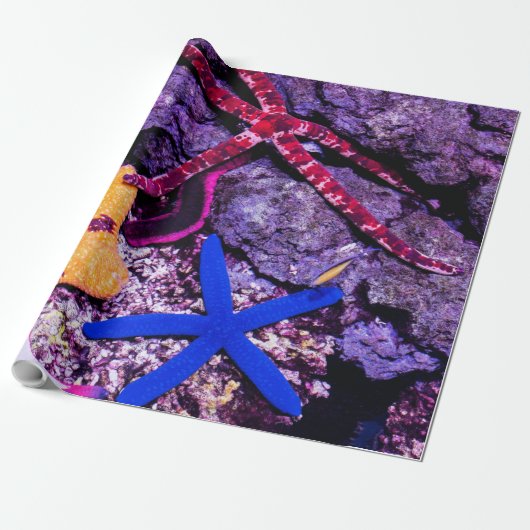 Papier Cadeau Animaux marins (Déroulé)