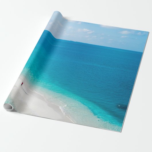 Papier Cadeau Animaux marins cool (Déroulé)