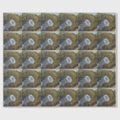 Papier Cadeau Anneau de fumée Cannon (Plat)