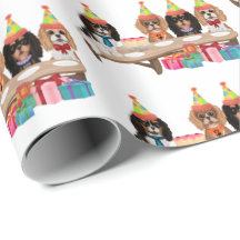 Anniversaire Cavalier King Charles Spaniel