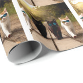 PAPIER CADEAU ANNIVERSAIRE DE CHAT COOL (Coin rond)