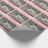Papier Cadeau Anniversaire et Empreintes de pattes de Cat Nap (Coin)