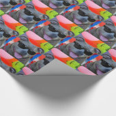 Papier Cadeau Anniversaire Pitbull dans les lunettes de soleil p (Coin)