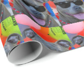 Papier Cadeau Anniversaire Pitbull dans les lunettes de soleil p (Coin rond)