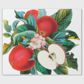 Papier Cadeau Antique arrangement botanique de fruits de pomme,  (Plat)