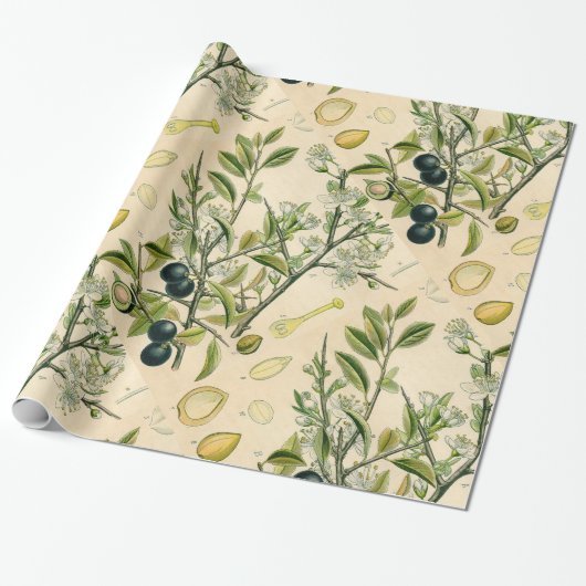 Papier Cadeau Antique Blackthorn Botanique Imprimé Fleur Berry (Déroulé)