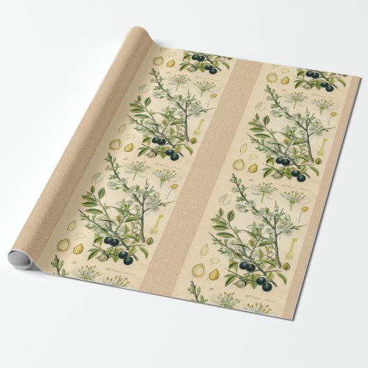 Papier Cadeau Antique Blackthorn Botanique Imprimé Fleur Berry (Déroulé)