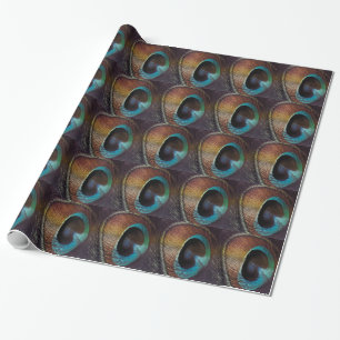 Papier Cadeau Antique Hues Peacock Feather Eye