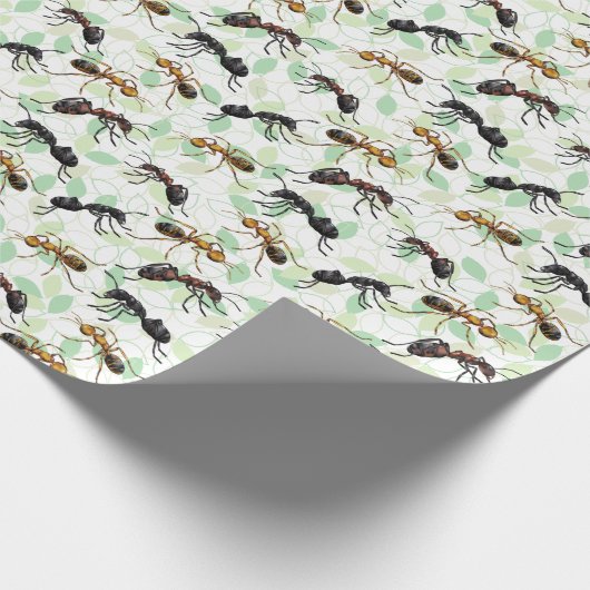 Papier Cadeau Ants Insectes Bugs Enveloppement Papier (Coin)