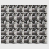 Papier Cadeau Aonyx cinerea (Plat)