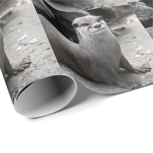 Papier Cadeau Aonyx cinerea (Coin rond)