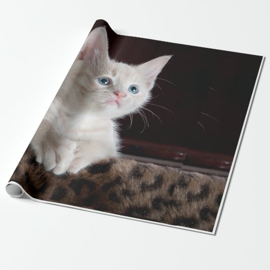 Papier Cadeau apparence du chat (Déroulé)