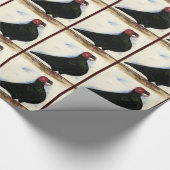 Papier Cadeau Aquarelle Barb Pigeon (Coin)