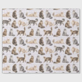 Papier Cadeau Aquarelle Chat à Poils Longs Gingham (Plat)