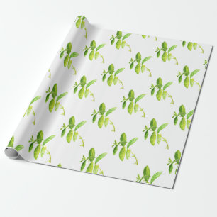 Papier Cadeau Aquarelle de menthe vert Jardin cuisine plante