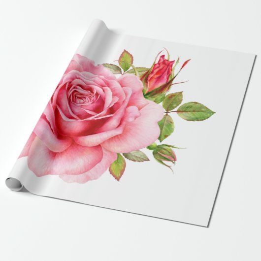 Papier Cadeau Aquarelle illustration d'une rose rose wi délicate (Déroulé)