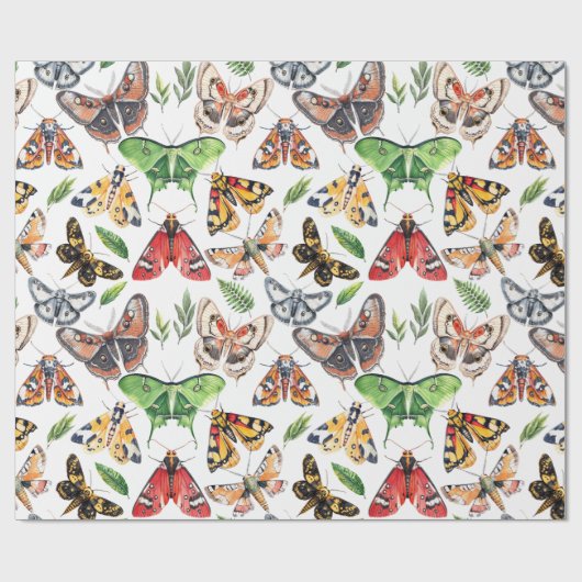 Papier Cadeau Aquarelle Moth (Plat)