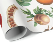 Papier Cadeau Aquarelle Motif de fruits méditerranéen (Coin rond)