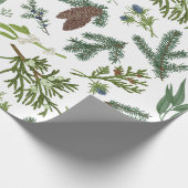 Papier Cadeau Aquarelle Noël Nature & Forêt Illustration (Coin)