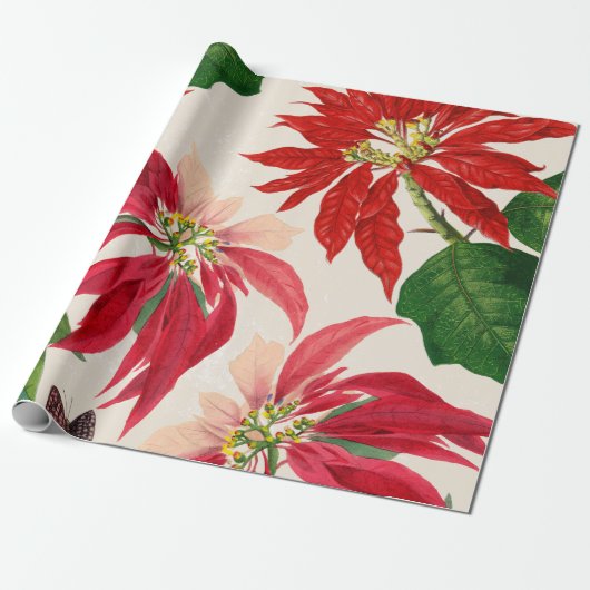 Papier Cadeau Aquarelle rouge rustique Poinsettia Flore Verdure (Déroulé)