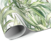 Papier Cadeau Aquarelle Spider Plante Lumière (Coin rond)