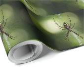 Papier Cadeau Araignée de jardin jaune (Coin rond)