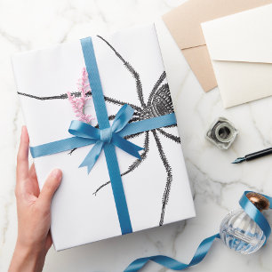 Papier Cadeau Araignée longue jambe