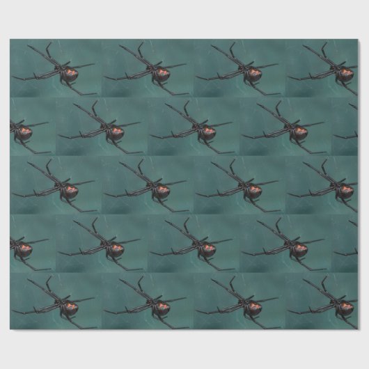 Papier Cadeau Araignée noire (Plat)