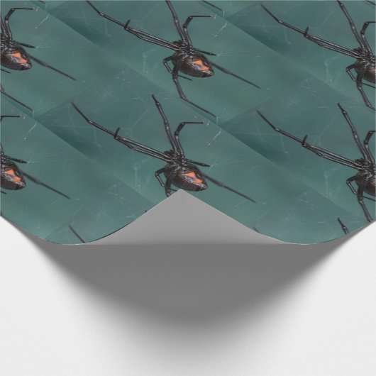 Papier Cadeau Araignée noire (Coin)