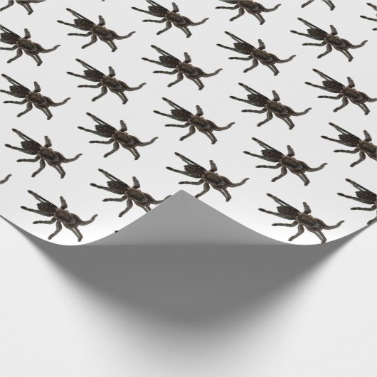 Papier Cadeau Araignées (Coin)