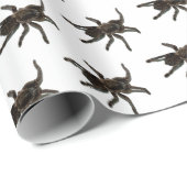 Papier Cadeau Araignées (Coin rond)
