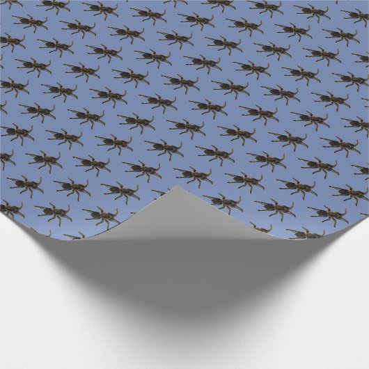 Papier Cadeau Araignées (Coin)