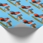 Papier Cadeau Araucana Red Pair (Coin)
