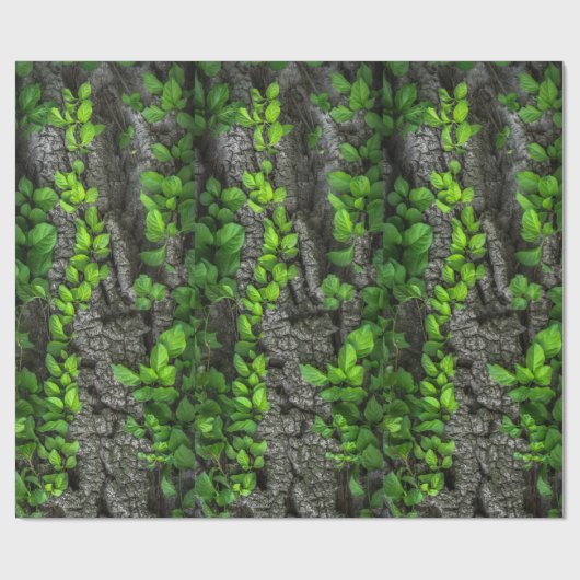 Papier Cadeau Arbre couvert de vigne (Plat)