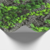 Papier Cadeau Arbre couvert de vigne (Coin)