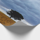 Papier Cadeau Arbre dans un champ vide (Coin)