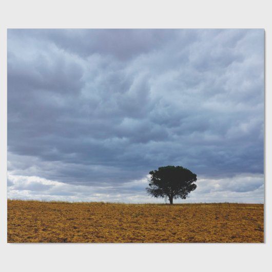 Papier Cadeau Arbre dans un champ vide (Plat)