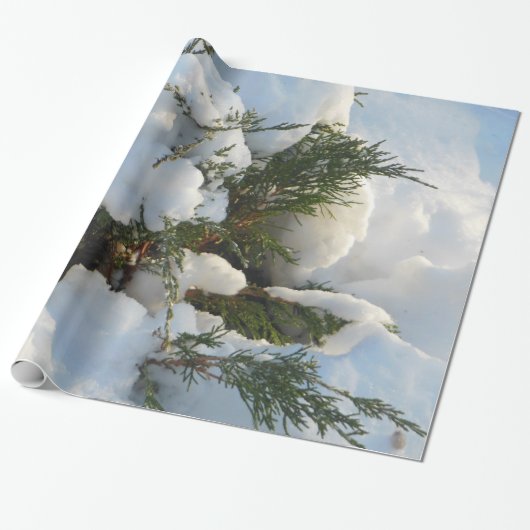 Papier Cadeau Arbre enterré par neige (Déroulé)